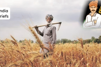 ई-केवाईसी पूरी होने के बाद भी इन किसानों के खाते में नहीं आएगा पीएम किसान सम्मान निधि की 20वीं किस्त का पैसा, जानें कारण और समाधान