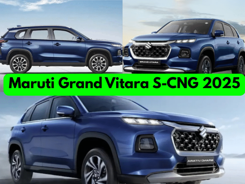 2025 Maruti Grand Vitara S-CNG