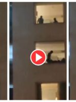 Jaipur 5-Star Hotel Viral Video