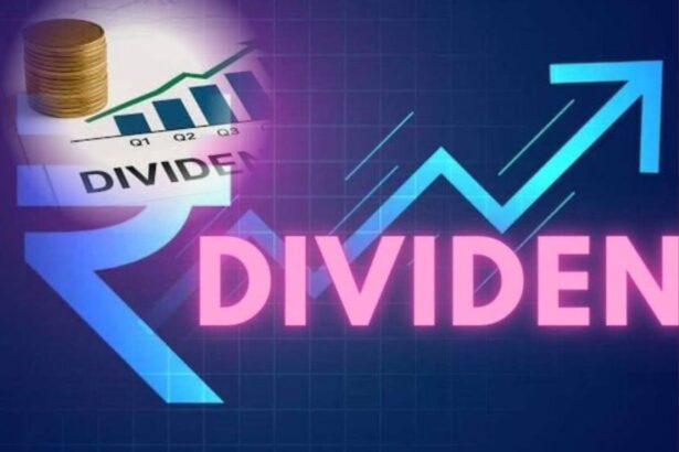 Bemco Hydraulics Bonus Share